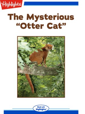 cover image of The Mysterious "Otter Cat"